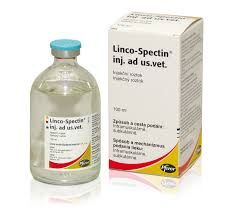 Linco-Spectin