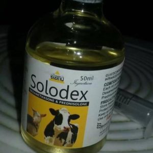 Solodex