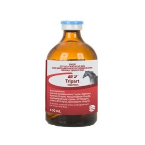 #CATTLE? #CHEAP TAIPAN INJECTION #TAIPAN INJECTION IN UAE #HORSECOLVASONE#RED CELL AND TAIPAN INJECTION #HOW TO GIVE RED CELL FOR HORSES AND PETS IN ITALY #I NEED TAIPAN INJECTION? #I NEED TAIPAN INJECTION? #TAIPAN INJECTION FROM HORSEMEDCARE #INDUBAI #ORDER TAIPAN INJECTION #HOW TO GIVE MEGANYL FOR HORSES #TAIPAN INJECTION FOR HORSES SIDE EFFECTS #RED CELL#WHERETOBUYRED CELL FOR HORSES #TAIPAN INJECTION #HORSE AND CAMEL SUPPLIES #HORSE MED HORSE SUPPLIES INTERNATIONAL SYDNEY #TAIPAN INJECTION #TAIPAN INJECTION #TAIPAN INJECTION FROM HORSEMEDCARE #RED CELL IN CANADA #WHAT ISTAIPAN INJECTION ? #HOW QUICKLY DOES #RED CELL WORK? #WHAT DOES RED CELL DO FOR HORSES #CAMELL #TAIPAN INJECTION FOR HORSES SIDE EFFECTS #TAIPAN INJECTION REVIEWS #COMPOUNDEDTAIPAN INJECTION FOR HORSES #HORSECOLVASONE#RED CELL AND TAIPAN INJECTION #TAIPAN INJECTION IN QATAR #DUBAI #ORDER TAIPAN INJECTION #WHERE TO GET RED CELL #TAIPAN INJECTION REVIEWS #COMPOUNDEDRED CELL FOR HORSES #HORSE PRERACE FLURADEX#RED CELL AND RED CELL AUSTRALIA CAMEL CAMEL #TAIPAN INJECTION DOG? #HORSE HORSEMEDCARE --REACTIONS? CANADA CATTLE #TAIPAN INJECTION DUBAI GERMANY #WHAT IS HORSE RED CELL? #HOW QUICKLY DOES RED CELL WORK? #WHAT DOES TAIPAN INJECTION DO FOR HORSES? #WHAT IS TAIPAN INJECTION FOR HORSES ITALY OMAN QATAR SPAIN #HOW TO US #TAIPAN INJECTION