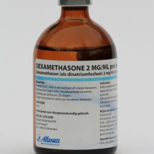 Dexamethasone 2 mg/ml 100 ml